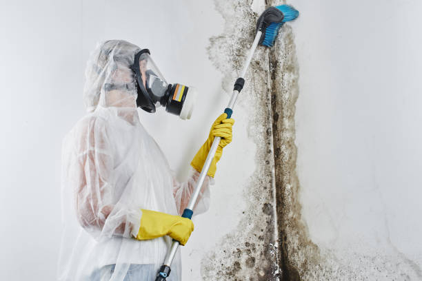 Best Residential Mold Removal  in Ballinger, TX