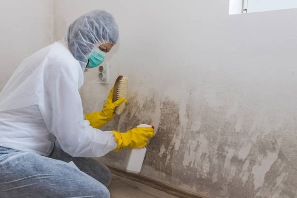 Best Mold Removal Process  in Ballinger, TX