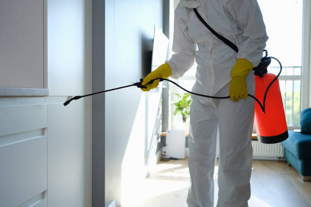 Best Mold Removal Company Near Me  in Ballinger, TX