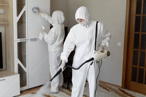 Mold Removal and Inspection in Ballinger, TX