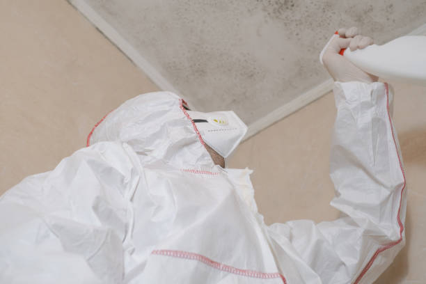 Best Emergency Mold Removal  in Ballinger, TX