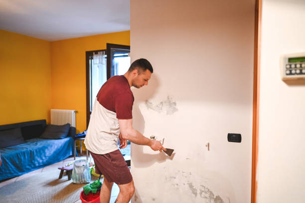 Best Certified Mold Removal  in Ballinger, TX