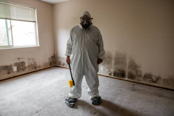 Best Home Mold Removal  in Ballinger, TX